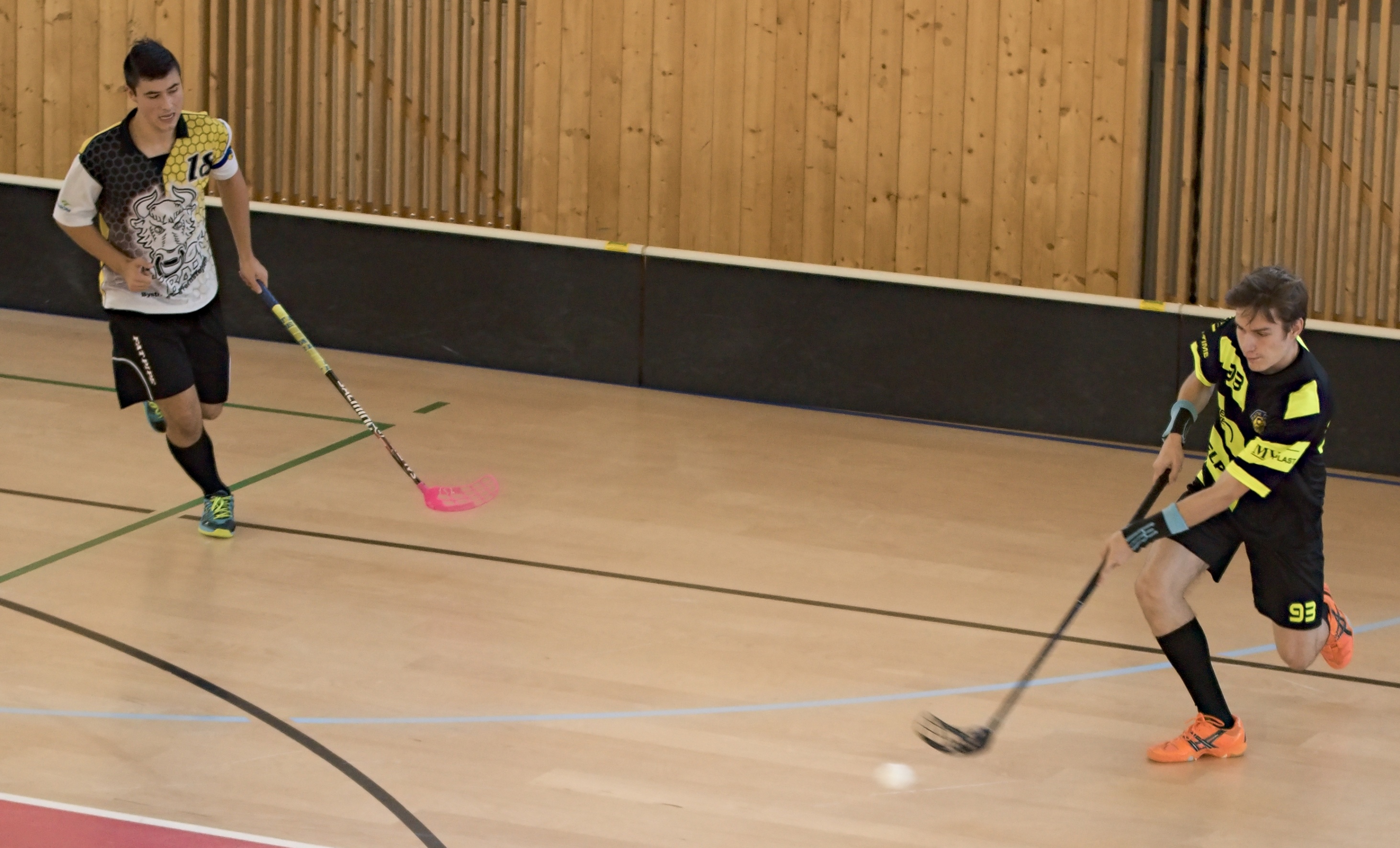 JunciLedec241015 132